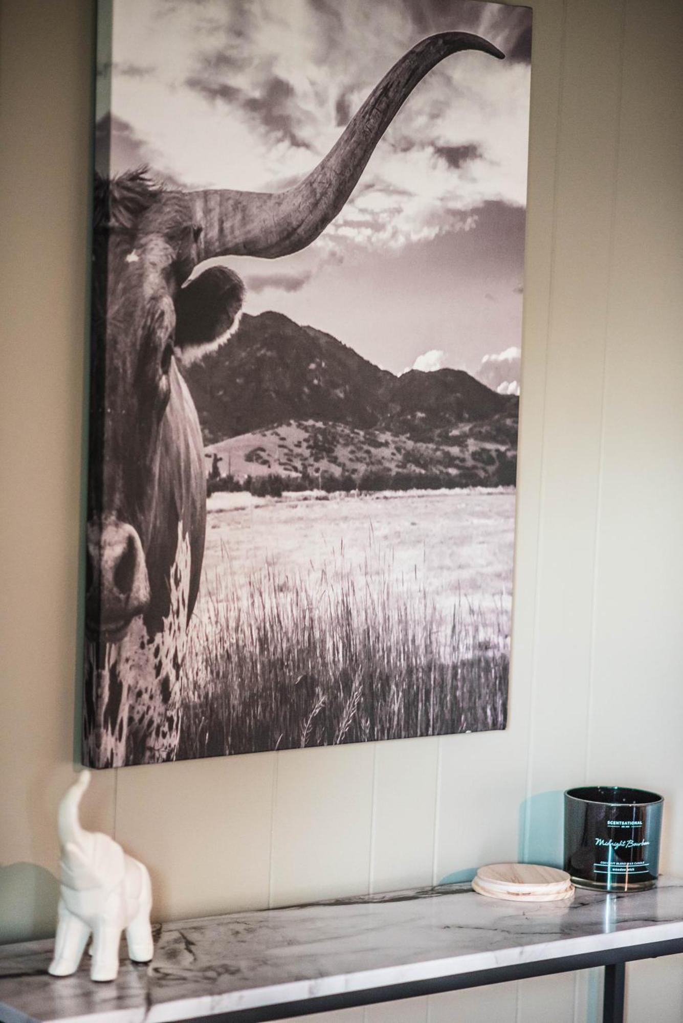 布莱克斯堡Mount Tabor Ranch Near Vt - King Bed/Fast Wi-Fi别墅 外观 照片